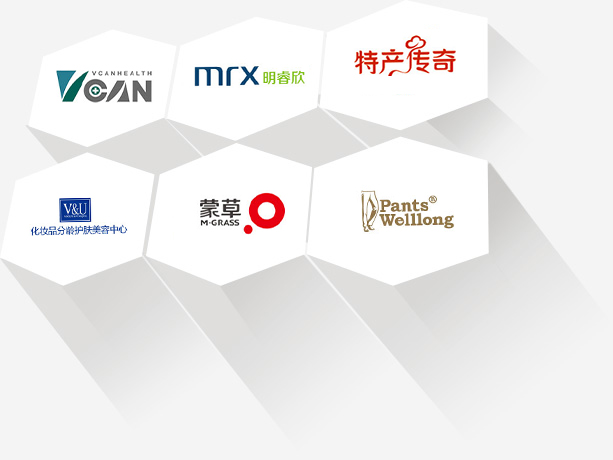 500强集团公司网站建设供应商