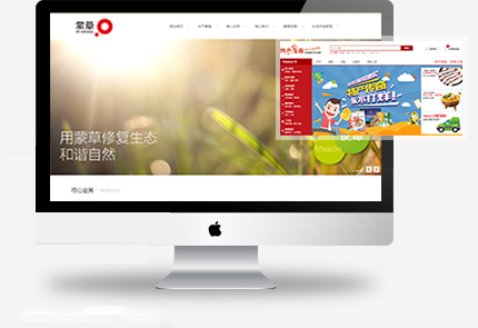 千款精品案例高端网站建设经验