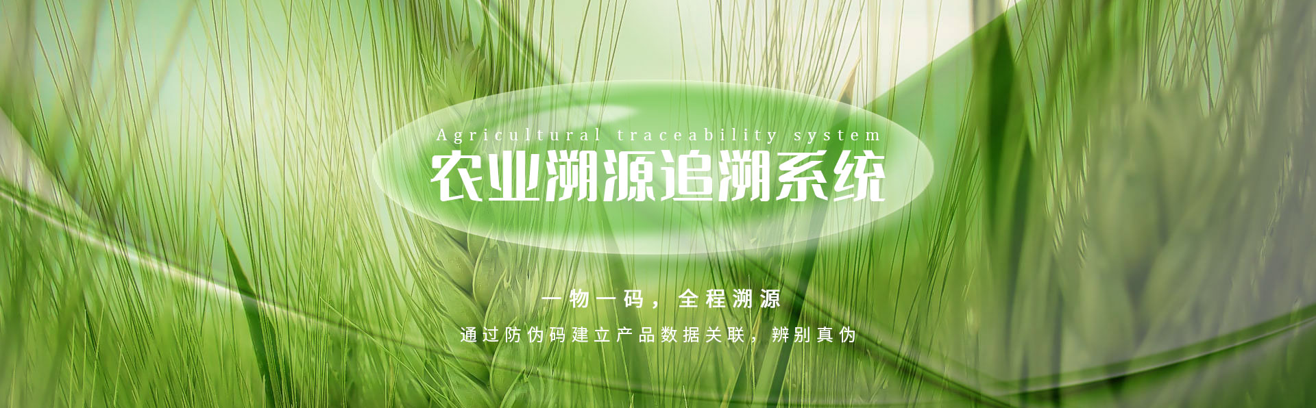 食品药品监管指挥平台