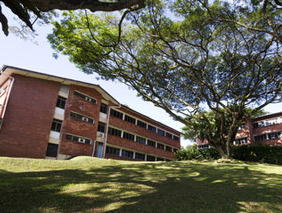 学校校园网站建设方案网站建设方案