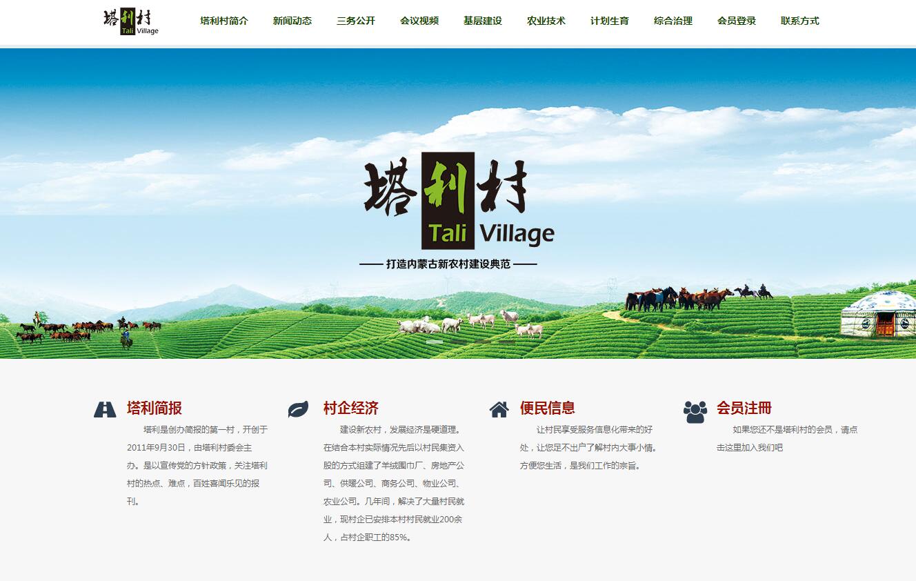 【塔利村】内蒙古政府网站案例