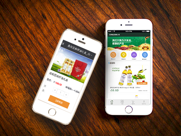 【大河之声】品牌手机食品微网站