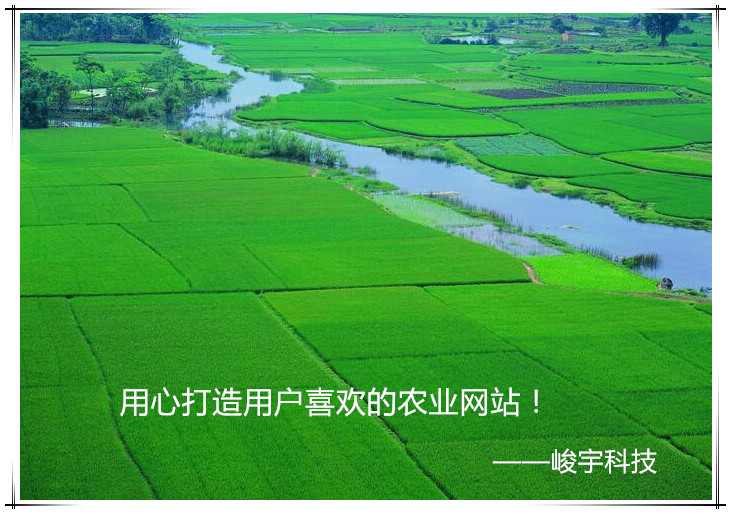 种子类农业网站SEO