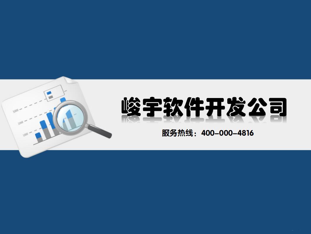 内蒙古峻宇软件定制开发服务